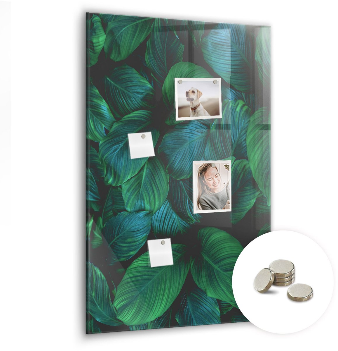 Coloray Glazen Magneetbord - Magnetisch Bord Zonnebloempitten - 60x90 cm - Groente Magneetbord - Magnetic Board - Woonkamer Decoratie