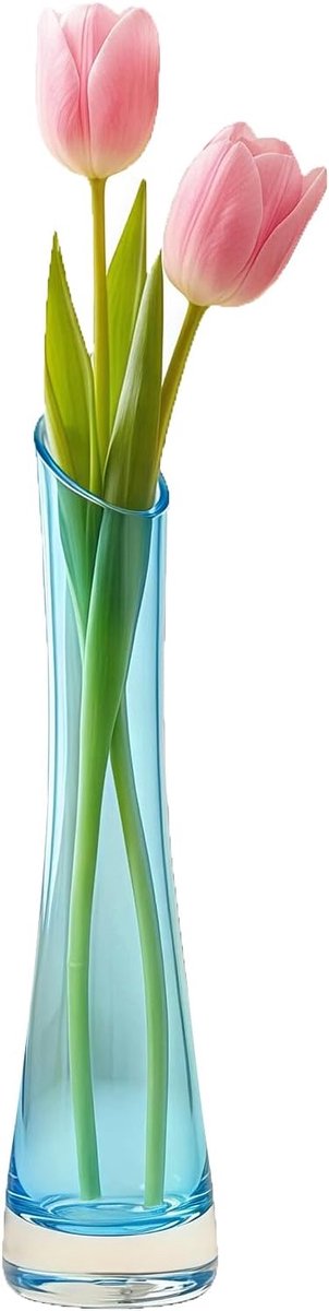 Angled Mouth Glass Bud Vases and Single Stem Flower Vase with Heavy Base for Home Office, Wedding Decor, Table - ShopVlot