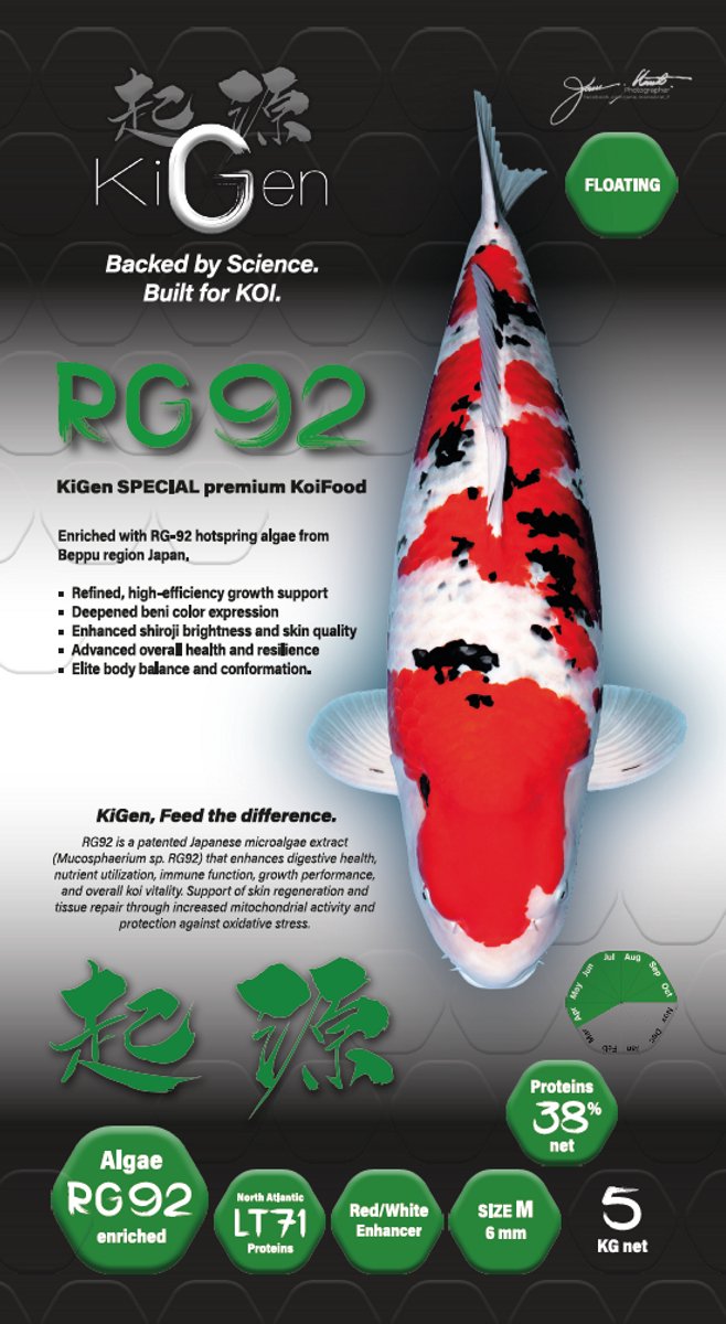 KiGen Koivoer RG92 6mm 5kg