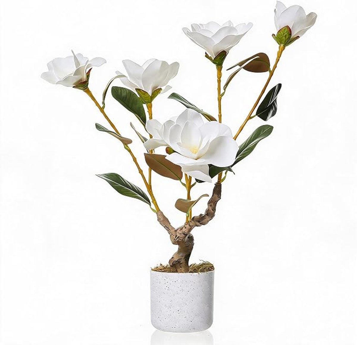 Danky - Kunstmagnolia - 60cm wit, premium PEVA met 6 bloemen en design wit pot