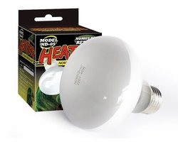 Terrarium verlichting 50 watt - E27 fitting - UVA lamp - daglicht