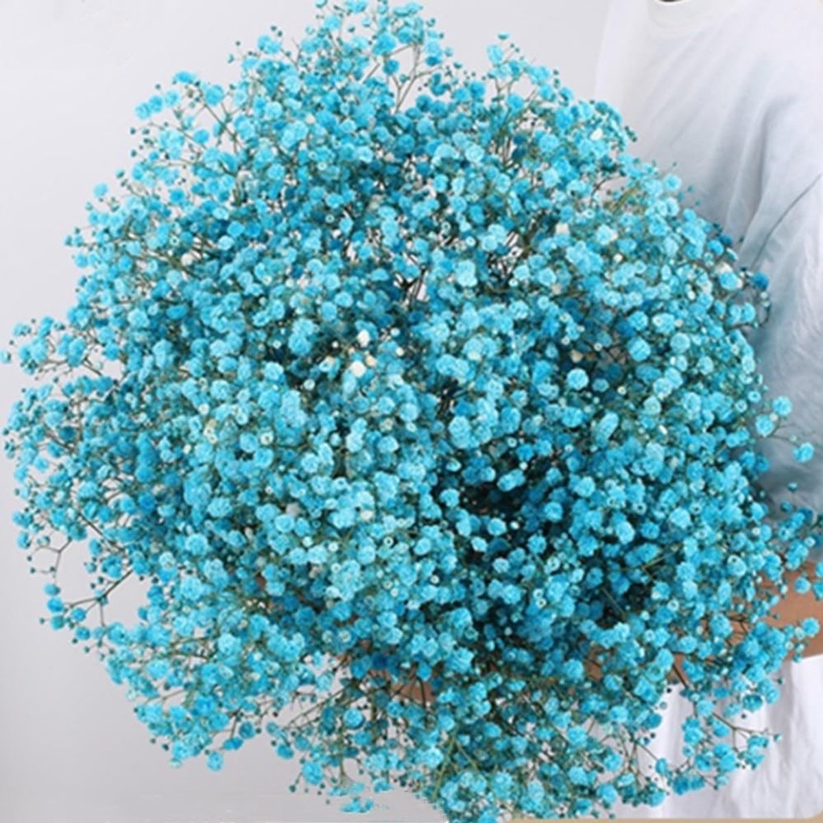 Solidchoice - Droogbloemen Boeket met 2500+ Natuurlijke Takken