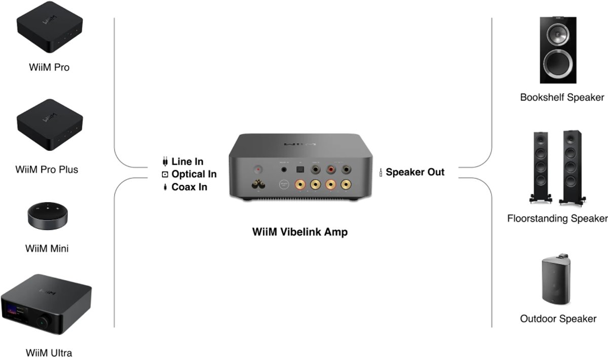 WiiM Vibelink Amp - Zilver - afbeelding 2