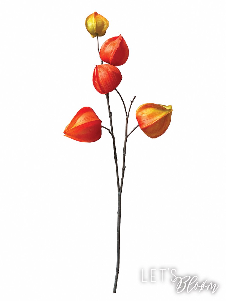 Let's Bloøm | Kunsttak Physalis - oranje | 3 stuks | kunsttakken | Zijden bloemen |Kunstbloemen | Herfst| Zijde lampion bloem - kort