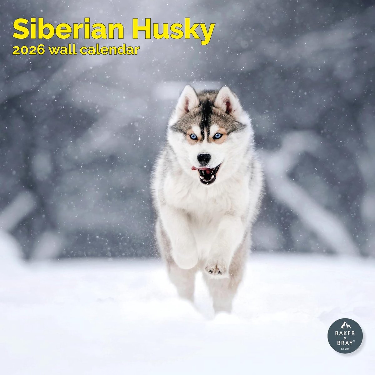 Siberische Husky Kalender 2027