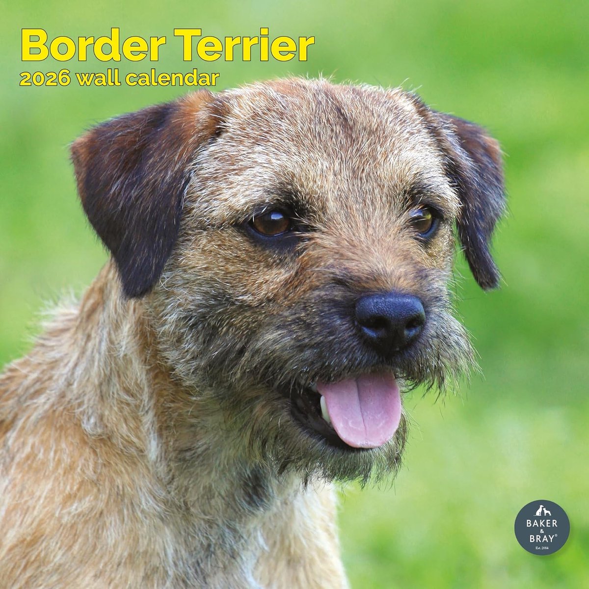 Border Terrier Kalender 2027
