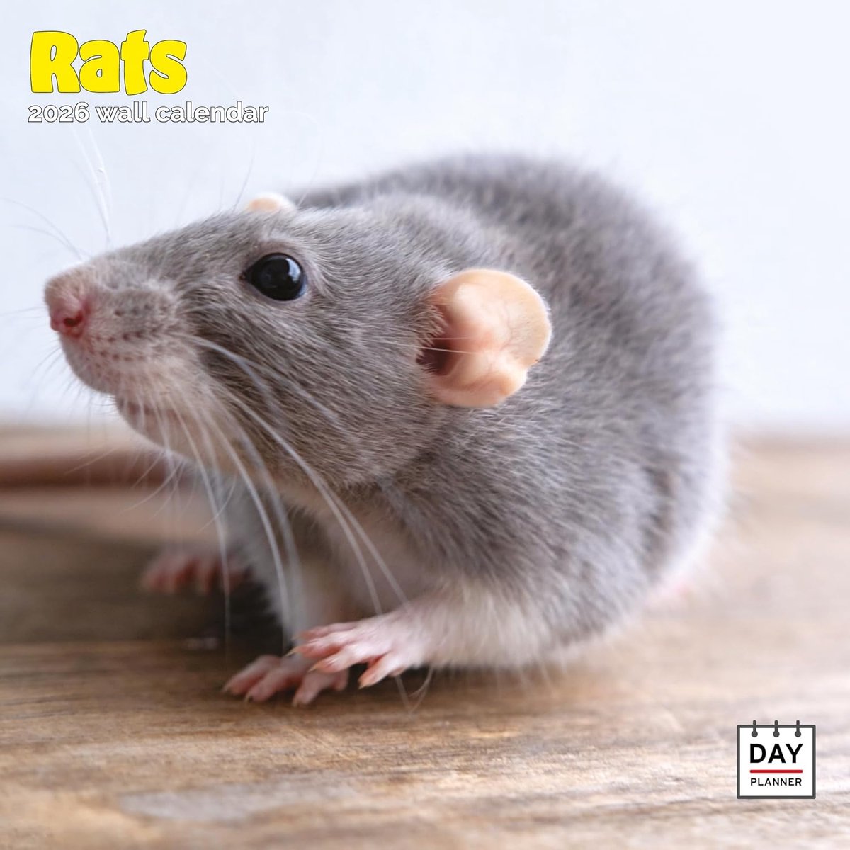 Ratten Kalender 2027