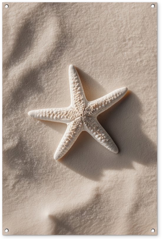 Tuinposter 80x120 cm - Tuindecoratie Strand - Zeester - Zand - Beige - Poster voor in de tuin - Buiten decoratie - Schutting tuinschilderij - Tuindoek muurdecoratie - Wanddecoratie balkondoek