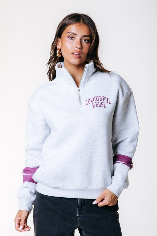 Colourful Rebel Varsity Logo Relaxed Zip Sweat - L