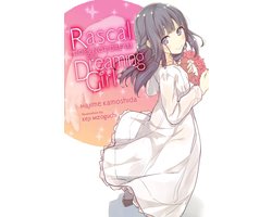 Rascal Does Not Dream (light novel) 6 - Rascal Does Not Dream of a Dreaming Girl (light novel)