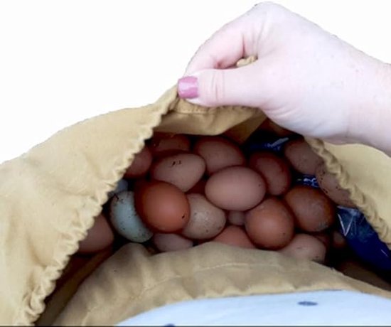 Verstelbare tuinschort van canvas met opbergvak voor het oogsten en plukken van fruit en groenten, handsfree - Khaki van Merkloos	 — afbeelding 3