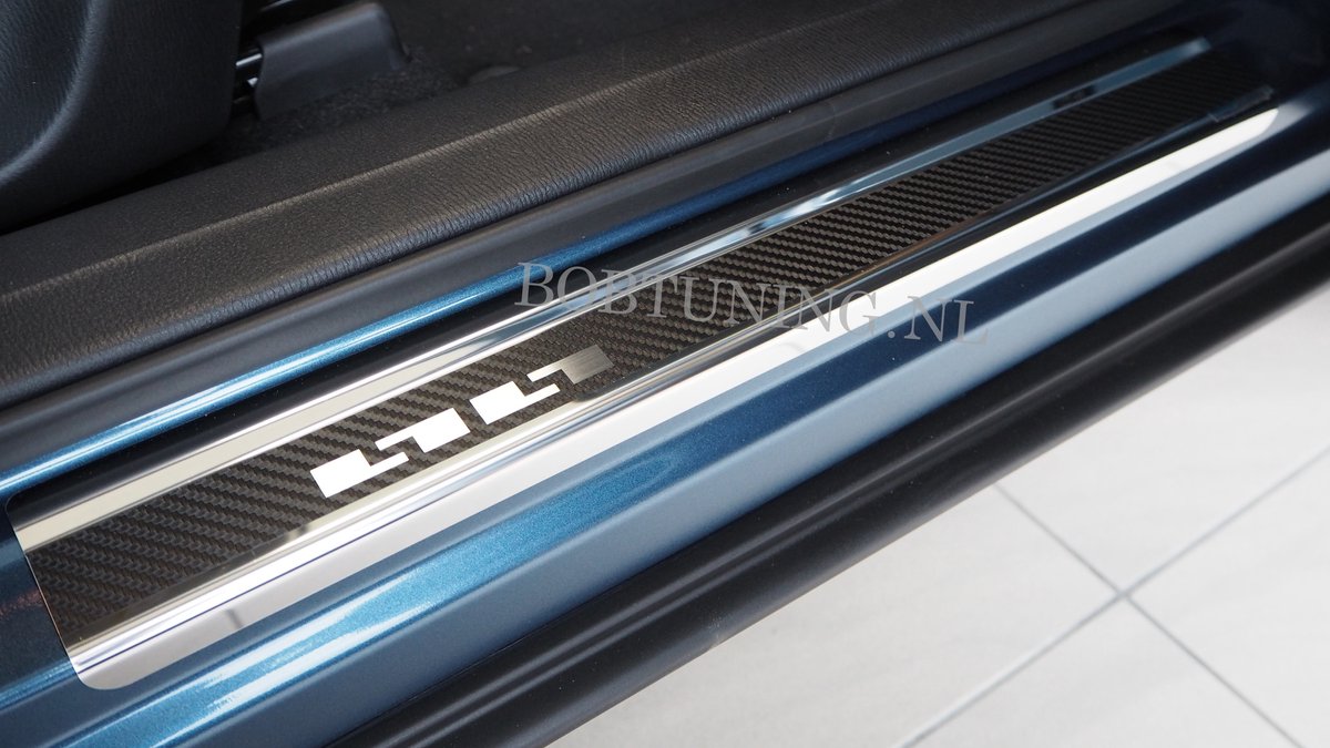 Carbon Rvs instaplijsten dorpel lijsten Byd Dolphin 2024+