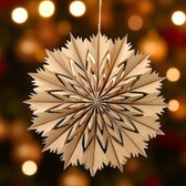 Kerstster (Euphorbia pulcherrima) | Plantengids Kerstster (Euphorbia pulcherrima) | Plantengids