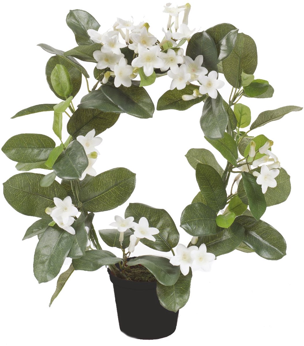 Emerald - Kunstplant in pot Stephanotis Ring wit 40cm - Kunstplant voor binnen