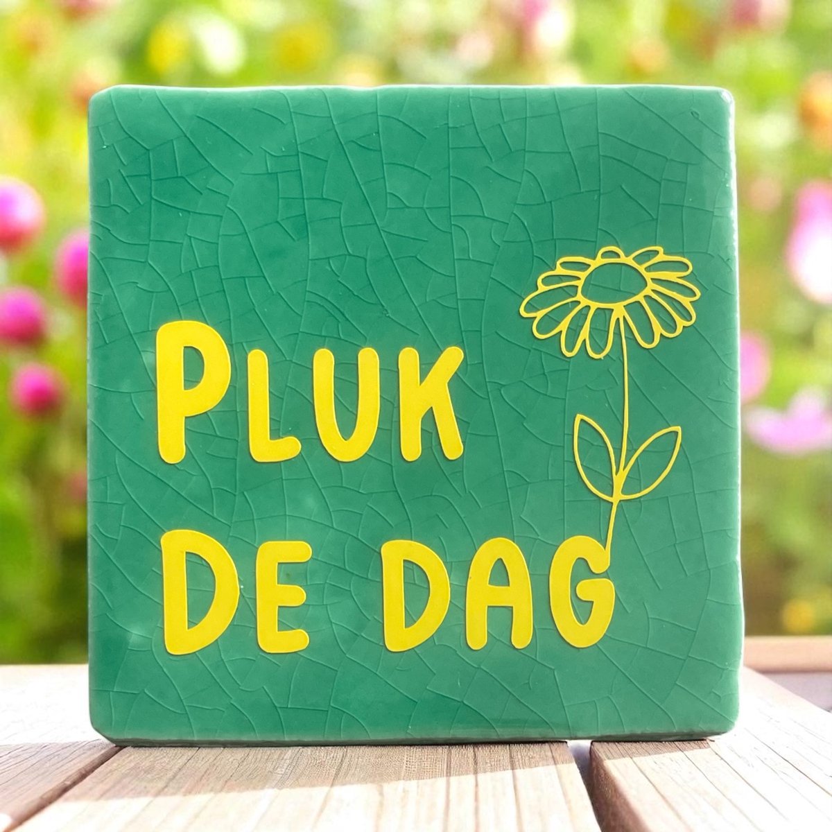 Hip Tegeltje met tekst-Pluk de dag-Groen-Cadeau-Geschenk-Gift-Kado-Zomaar-Aardigheidje