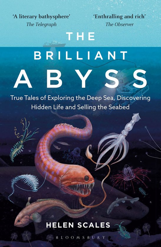 The Brilliant Abyss - cover