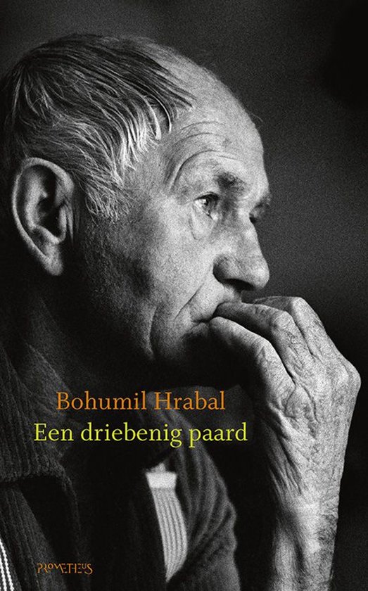 Een Driebenig paard - cover