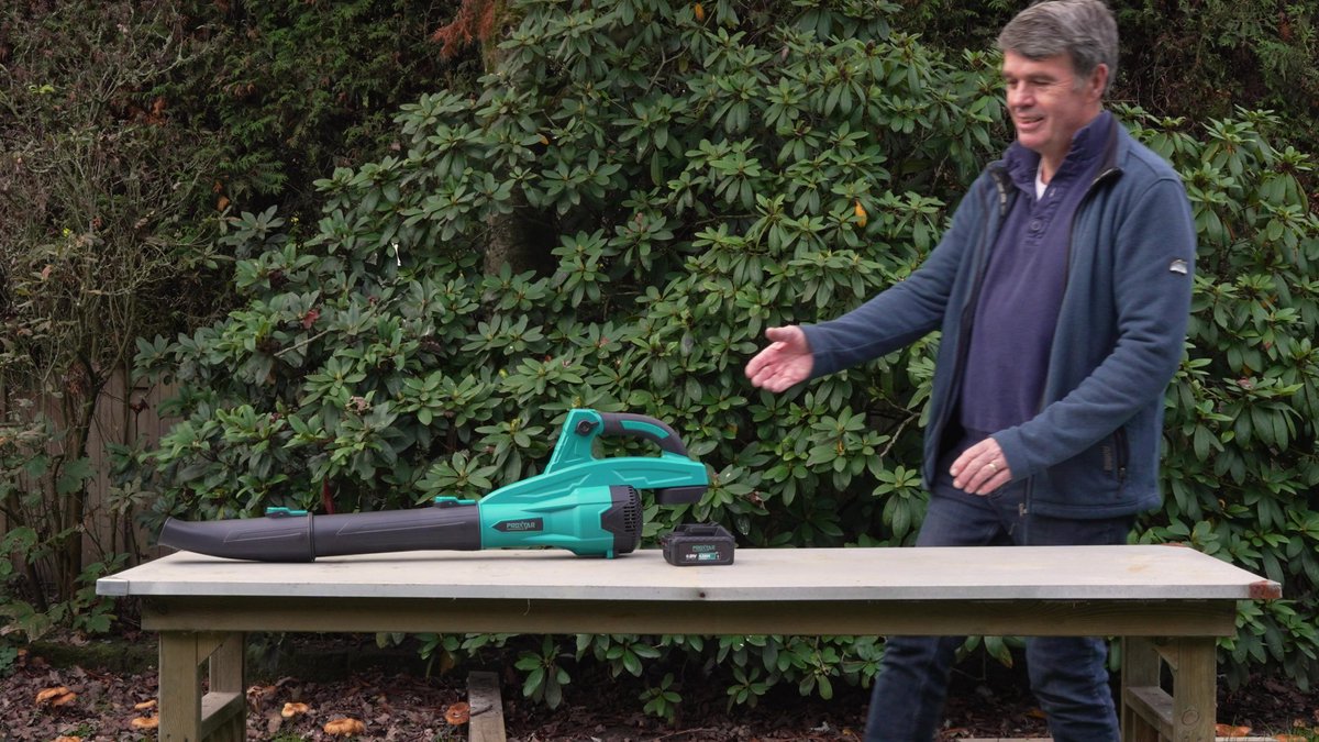 ProXtar brushless accu bladblazer met turbostand