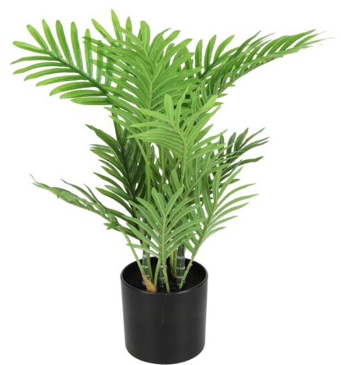 Countryfield Kunst- en Zijdebloem Areca L groen