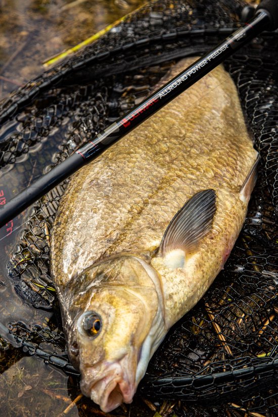Gevangen vis in een schepnet met de 'Ultimate Allround Power Feeder' hengel erop.