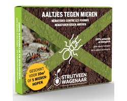 Aaltjes tegen Mieren 10m² - Steinernema Feltiae - Biologische bodeminsecten - Tot 5 mierennesten bestrijden - Aaltjes tegen mieren - Afweermiddelen - Mierenpoeder buiten - Alternatief mierenlokdoos