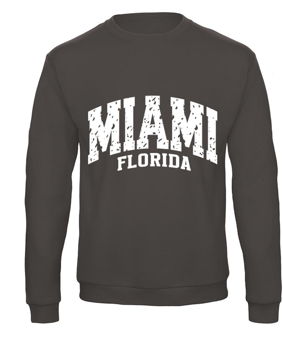 Sweatshirt 2-211 Miami Florida - Dgrijs, xS