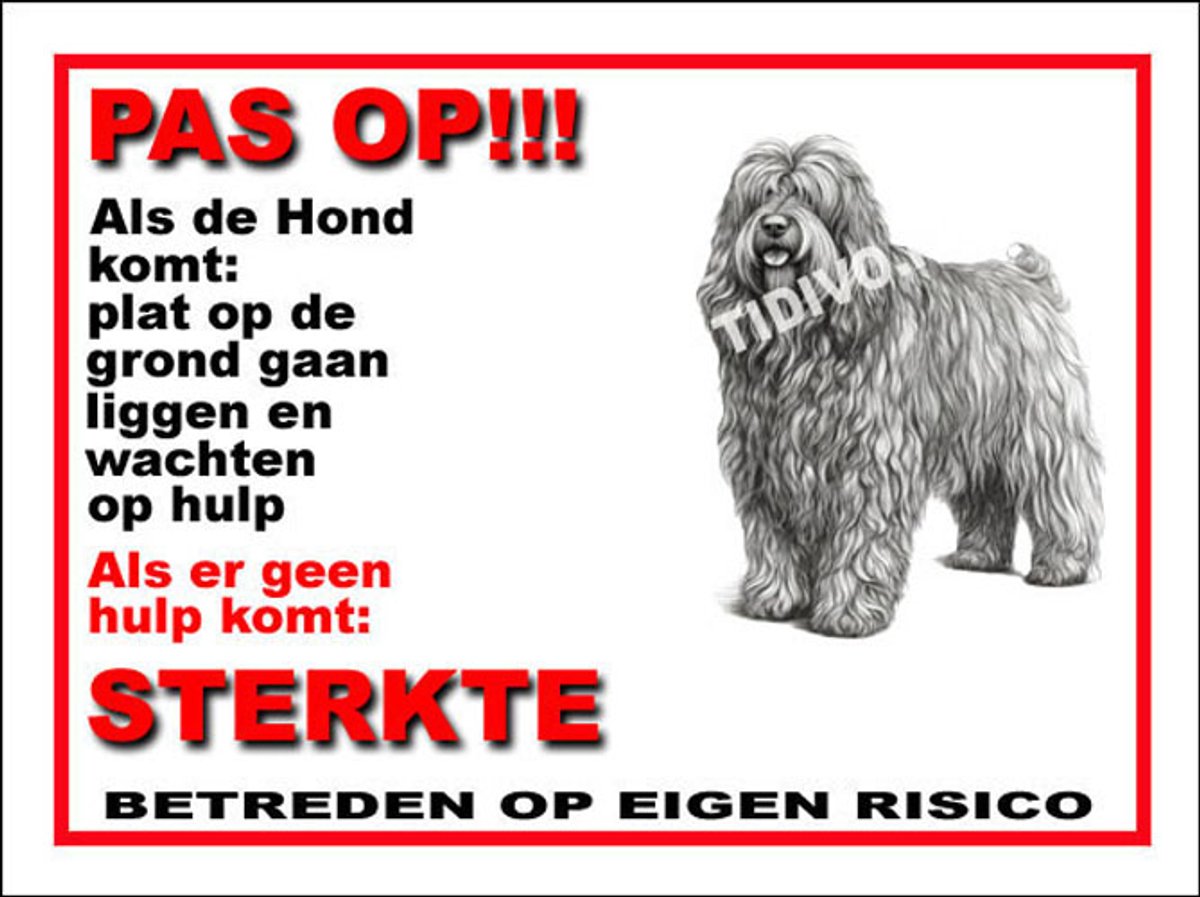 Bergamasco 12 - Met 4 Gaatjes + 4 Pluggen + 4 RVS Schroeven
