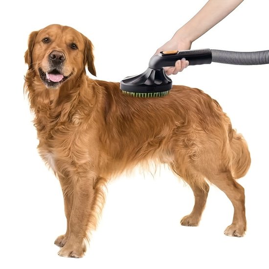 Persoonlijke urn voor Belgische Herdershond - gegraveerde herdenkingsdoos - Urn voor hond