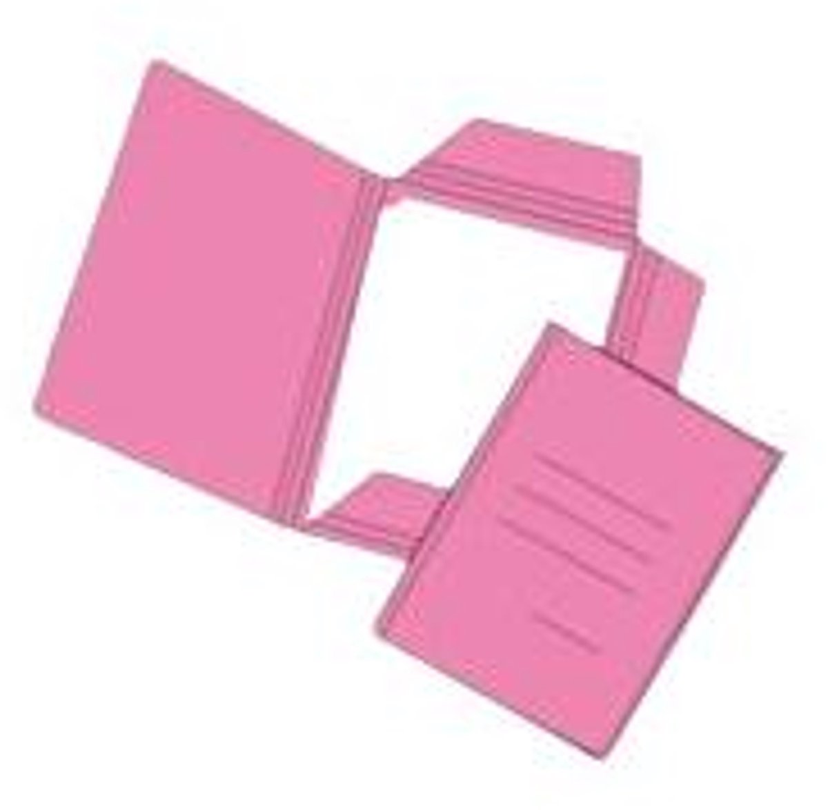 Blasetti Rubino, Conventionele hechtmap, Roze, 150 g/m², 250 mm, 335 mm, 500 stuk(s)