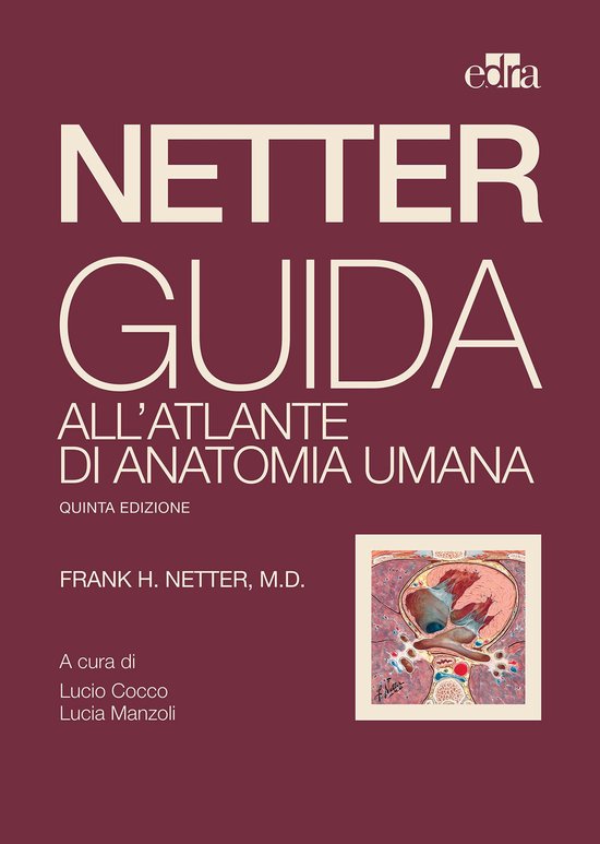 Netter. Guida all'atlante di anatomia umana - cover