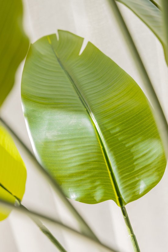 Strelitzia Kunstplant - 180 cm