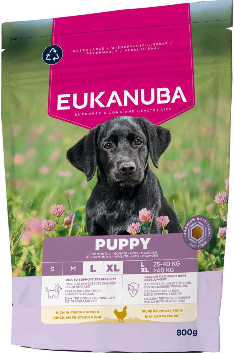 Eukanuba Eukanuba Hondenvoer Droog Life Care Dog Puppy Large Kip - 800 gr
