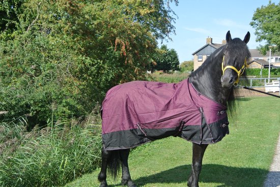 Regendeken luxe 0 gram met fleece voering Zwart/wine red