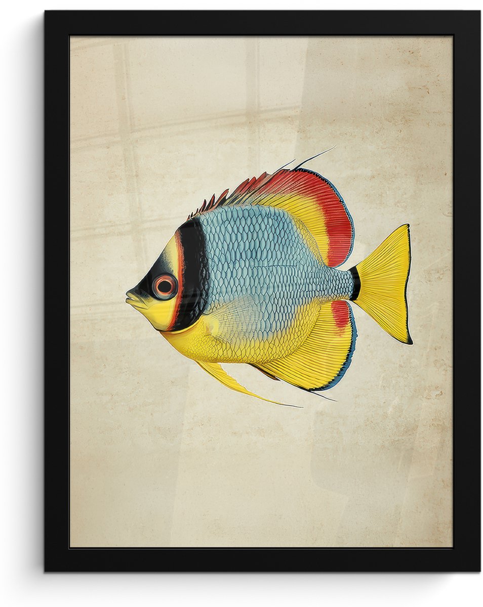 FrameYourWall Poster in lijst - Fotolijst 30x40 cm - Posters - Kleurrijk - Vis - Schubben - Illustratie - Posterlijst zwart - Decoratie - Wanddecoratie woonkamer - Muurdecoratie slaapkamer Vis - Kleurrijk