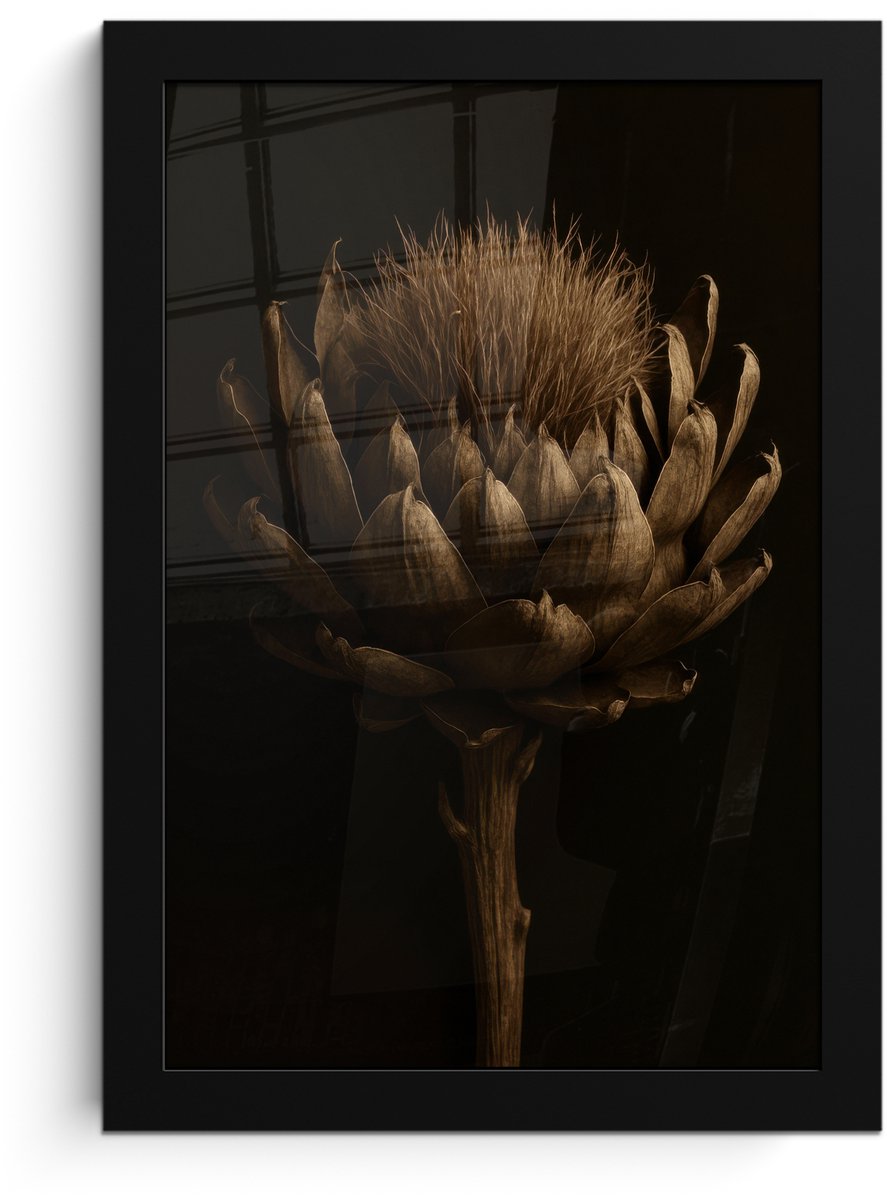 FrameYourWall Poster in lijst - Fotolijst 20x30 cm - Posters - Donkerbruin - Bloem - Textuur - Artisjok - Posterlijst zwart - Decoratie - Wanddecoratie woonkamer - Muurdecoratie slaapkamer Bloem - Artisjok