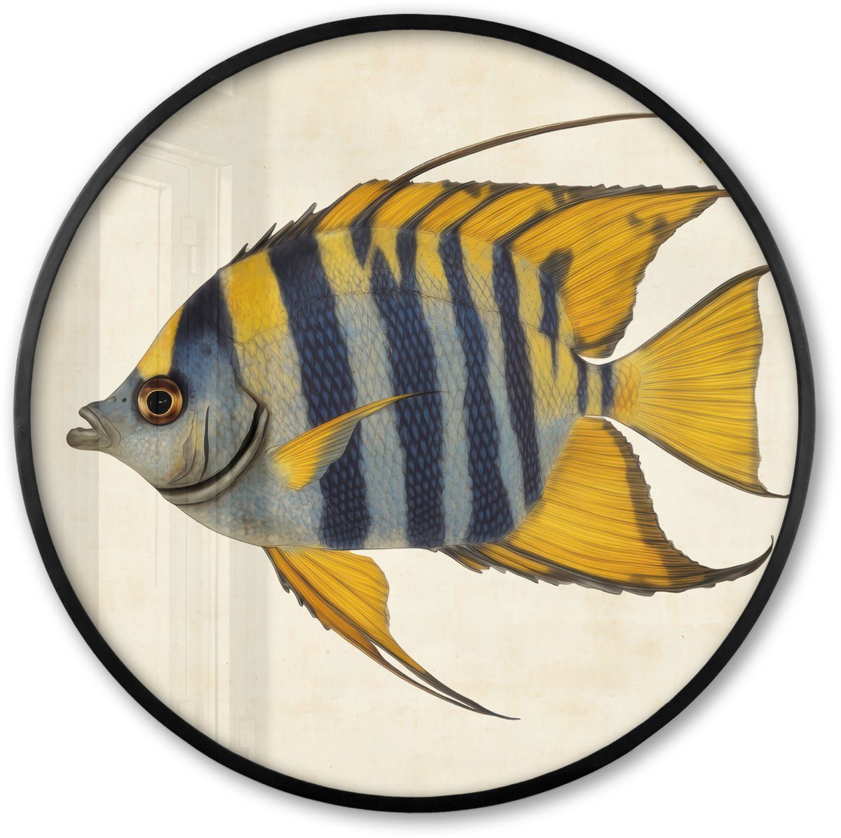 FrameYourWall Poster in lijst Rond - Fotolijst 60x60 cm - Posters - Vis - Sierlijk - Vinnen - Illustratie - Ronde posterlijst zwart - Decoratie - Wanddecoratie woonkamer - Muurdecoratie slaapkamer
