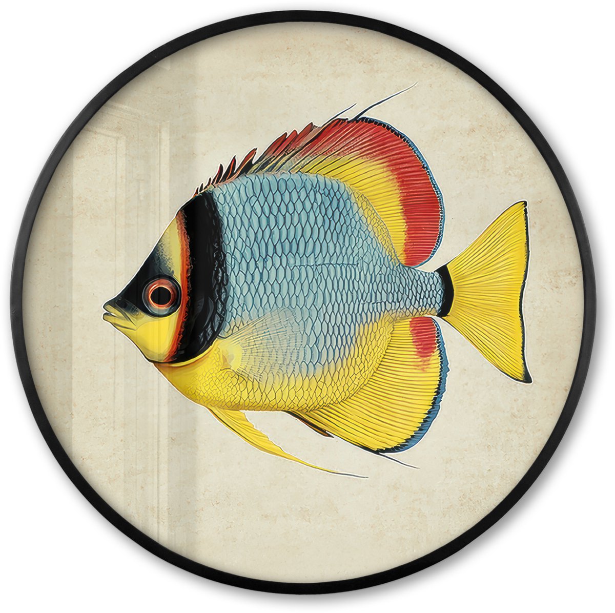 FrameYourWall Poster in lijst Rond - Fotolijst 60x60 cm - Posters - Kleurrijk - Vis - Schubben - Illustratie - Ronde posterlijst zwart - Decoratie - Wanddecoratie woonkamer - Muurdecoratie slaapkamer Vis - Kleurrijk