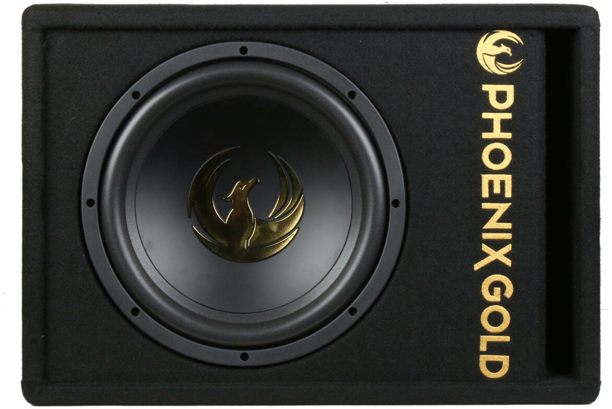 Phoenix Gold Z10AB 10 inch active subwoofer gepoort incl kabels en bass regelaar / Auto bass subwoofer