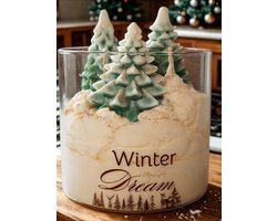 Geurkaars Winter Dream – Handgemaakt van Sojawas – Appel & Kaneel – Kerst Cadeau – Duurzame Kaars – Uniek 3D Design – 380g