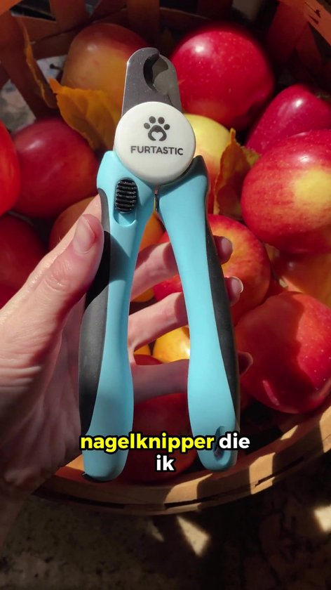 FURTASTIC Pince à ongles Chien et Chat - Ciseaux à ongles professionnels pour votre animal de compagnie - Limes à ongles incluse - Arrêt de sécurité intégré