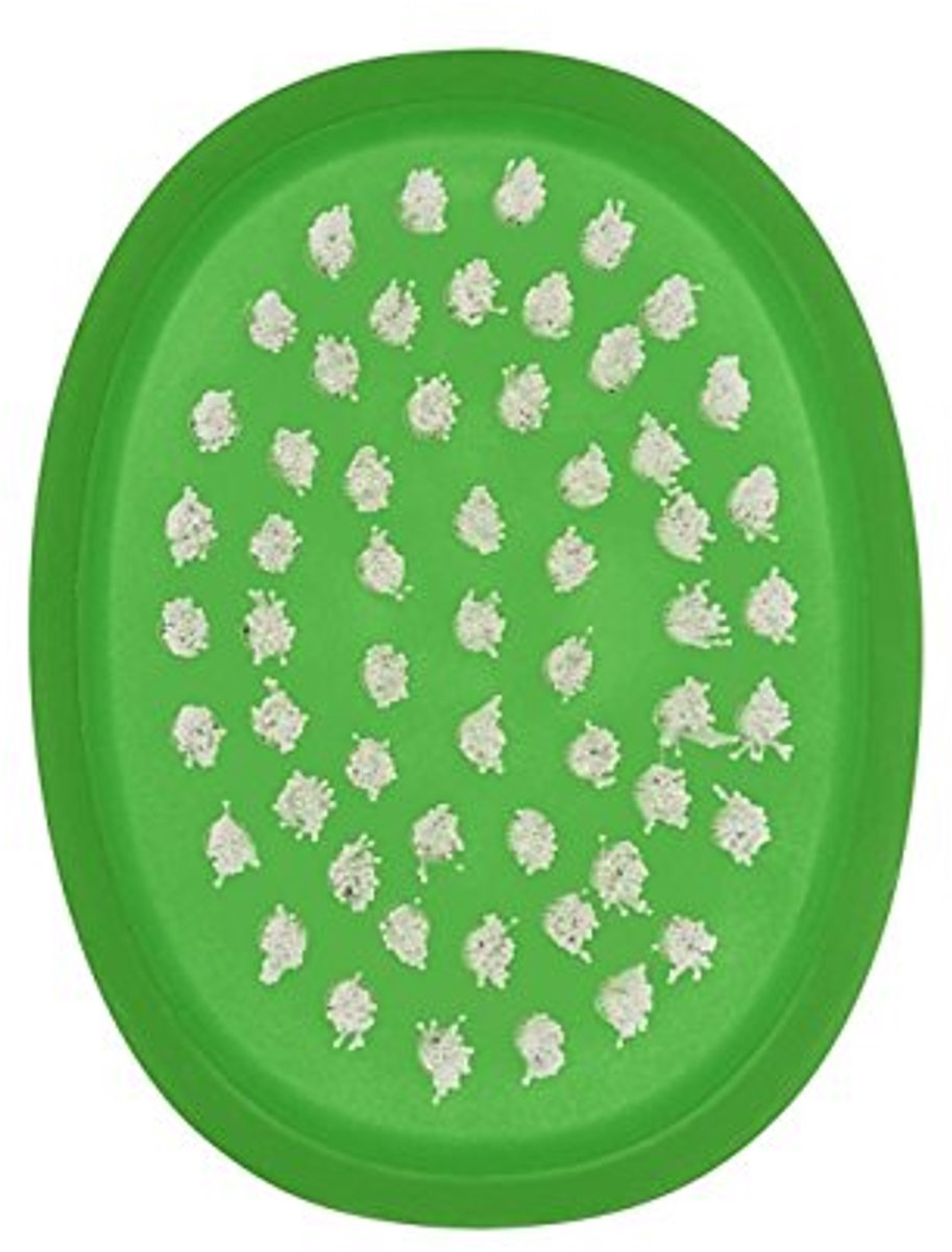 Ergonomische Groenteborstel voor Grondige Reiniging van Aardappelen en Wortels