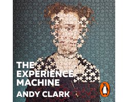 The Experience Machine