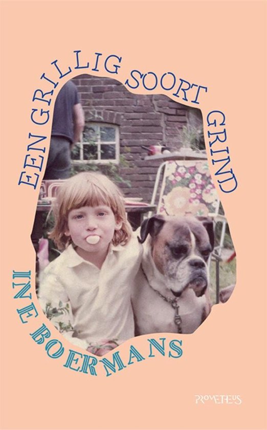 Een grillig soort grind - cover