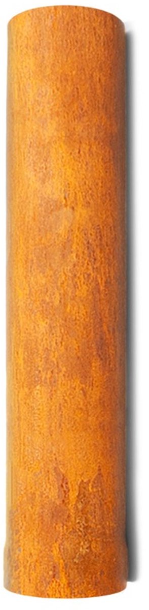 BonFeu Kachelpijp 44cm Roest - Enkelwandig Staal - Kachelpijp voor Tuinhaard van BonFeu - 10x10x44 cm