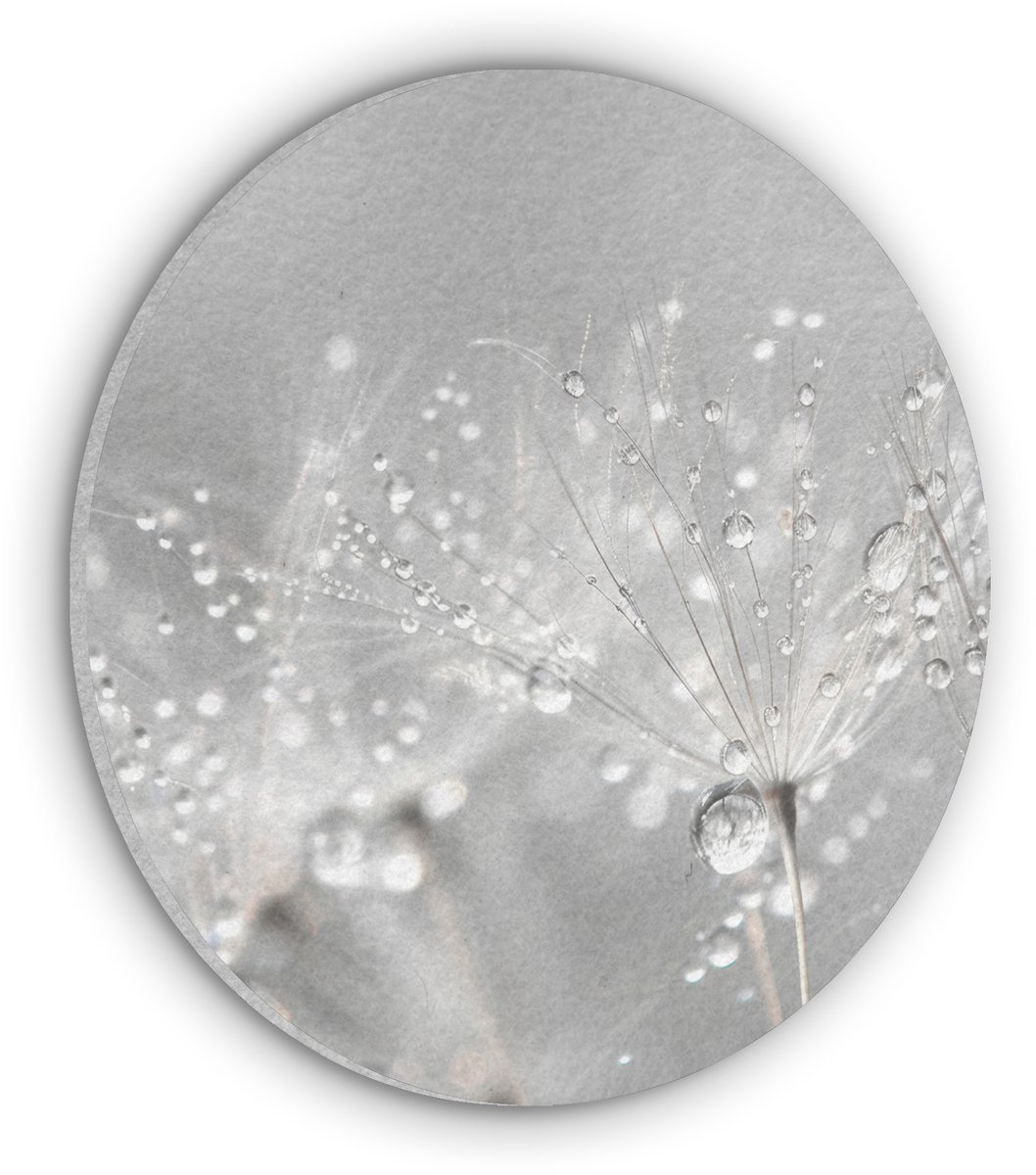 Akoestisch wandpaneel rond 70x70 cm - Vilt schilderij Paardenbloem - Waterdruppels - Stilleven - Modern - Ronde akoestische panelen - Geluidsdempende wanddecoratie - Geluidsisolatie wandcirkel - Muurdecoratie geluidspanelen