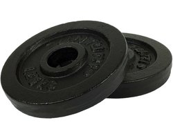Tunturi Halterschijven - Halter gewichten - 2 x 1,25 kg - Ø 30 mm - Gietijzer - Incl. fitness app