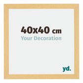 Décor de hêtre