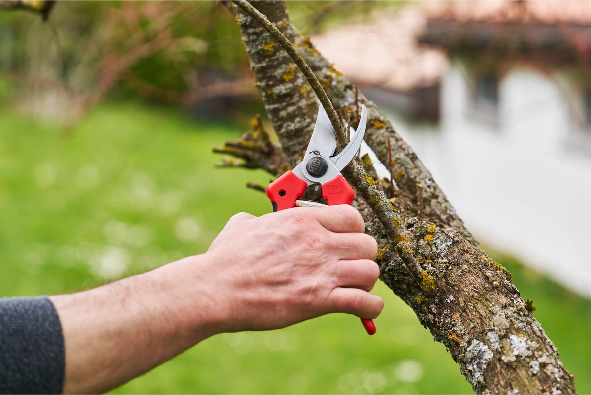 Felco 171L Pruning Shears - for Large Hands - Ø 25 mm