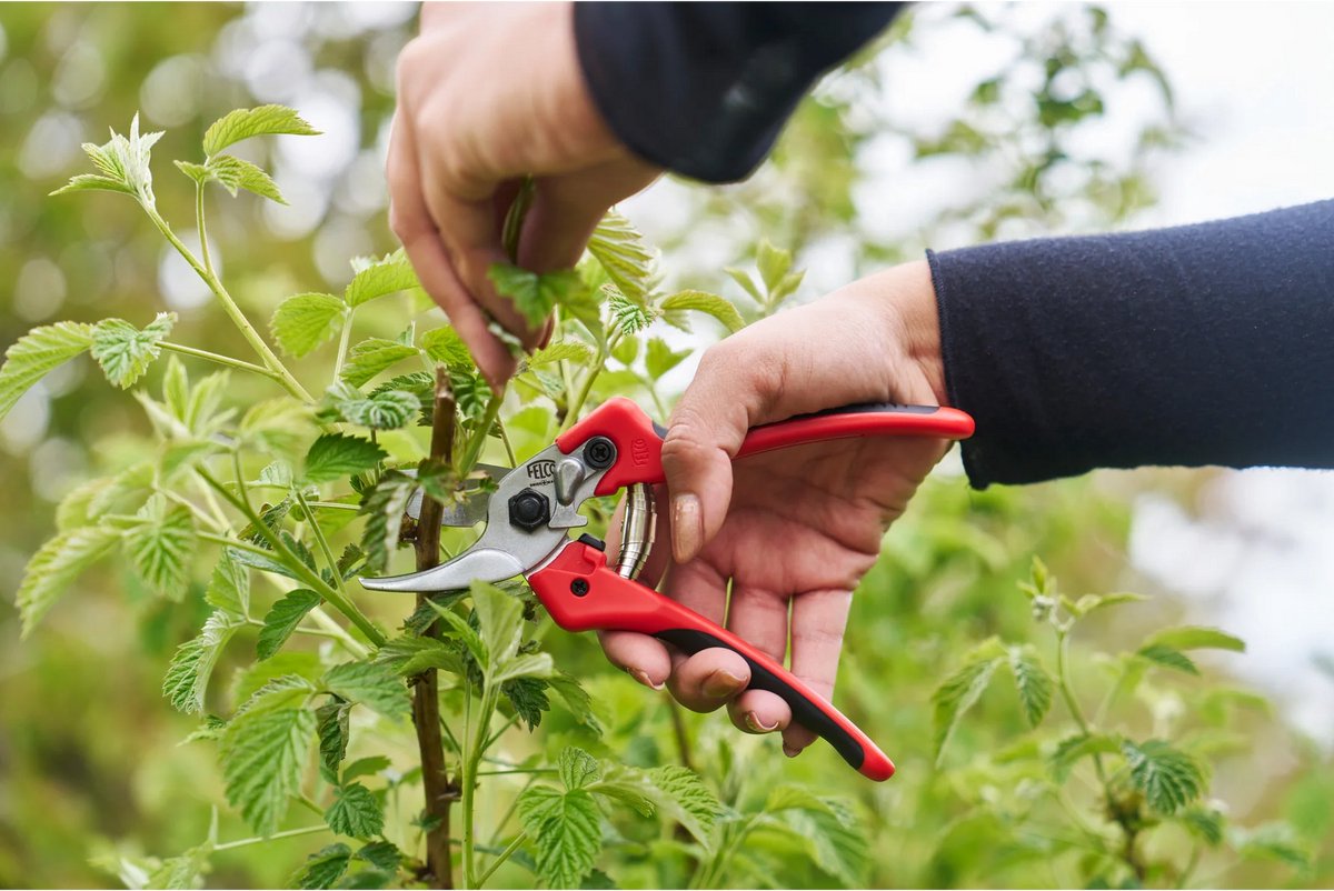Felco 171M Pruning Shears - for Medium Hands - Ø 20 mm