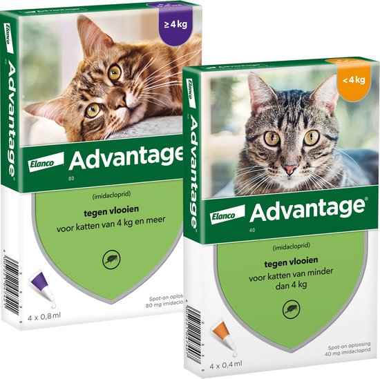 Advantage 40 Vlooiendruppels Kat tot 4 kg - 4 Pipetten